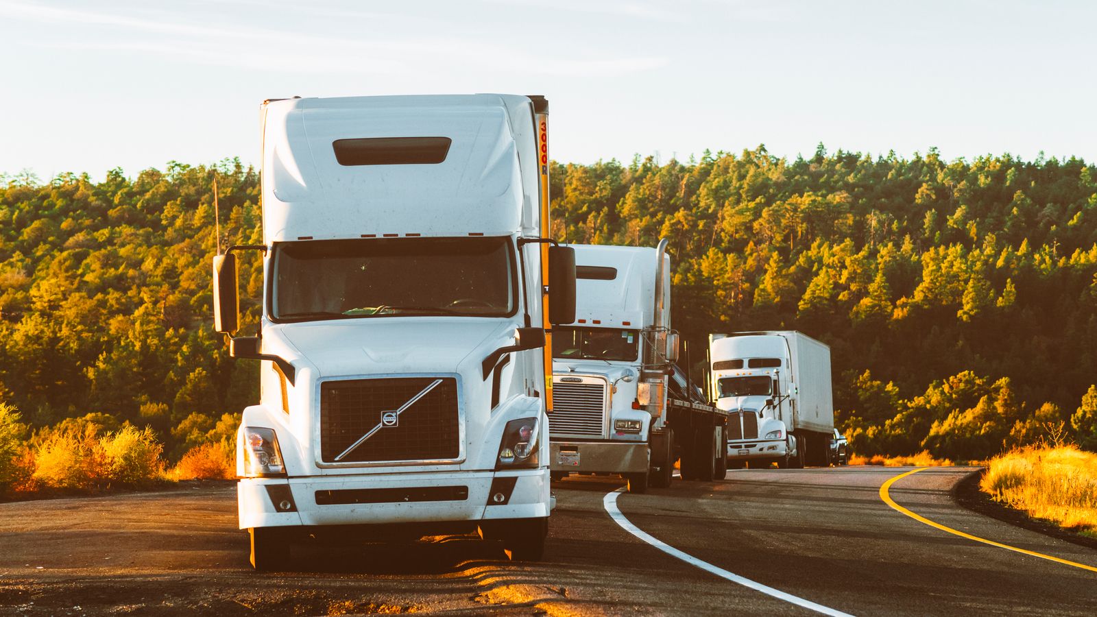 LTL and FTL freight program managed as an extension of your logistics team